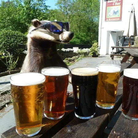 Badger Bar