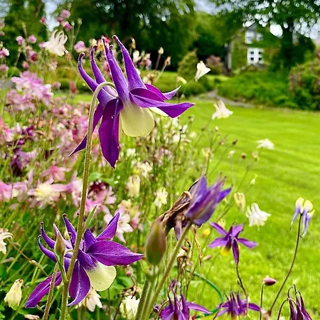 Crow How Country 4* Ambleside