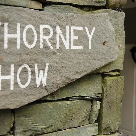 Casa de hóspedes Thorney 4*