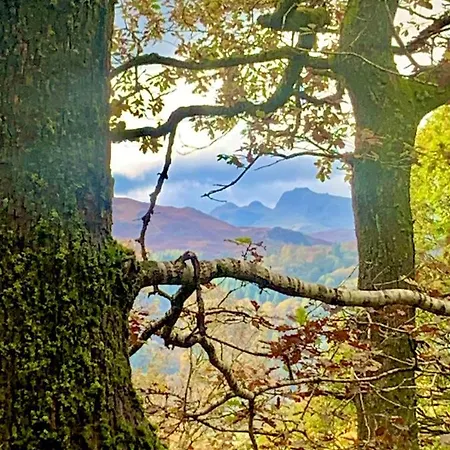 Hillsdale B&B In Ambleside Guest house Ambleside