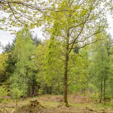Brathay Hall - Brathay Trust 3*