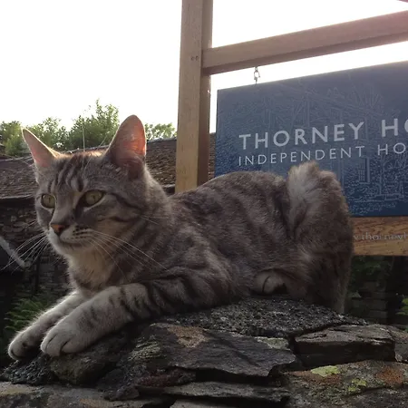 Thorney